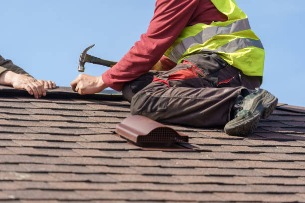 Best Sealant for Roof  in Constantine, MI