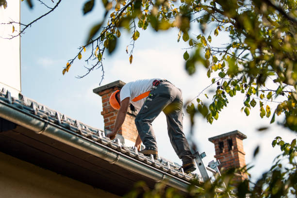 Best Roof Repair Services  in Constantine, MI