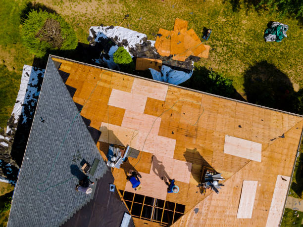 Best Roof Maintenance Services  in Constantine, MI