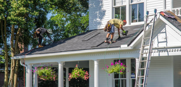 Best Roof Repair Services  in Constantine, MI